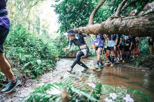 BIB: 
                            <button type="button" onclick="openModal(25471313)" class="btn btn-primary btn-sm float-right btn-popup" data-toggle="modal" data-target=".modal-high-quality">
                        <i class="fas fa-shopping-cart"></i> Add to Cart
                    </button>
                                            <button type="button" onclick="isThisMe(25471313, true)" class="btn btn-success btn-sm float-right btn-popup btn-isme hidden" data-toggle="tooltip" data-placement="bottom" title="นี่คือรูปของคุณใช่ไหม คลิกที่นี่เพื่อเอาเข้าอัลบั้ม">
                        <i class="fas fa-plus"></i> Add to album
                    </button>
                    <button type="button" onclick="isThisMe(25471313, false)" class="btn btn-warning btn-sm float-right btn-popup btn-isnotme hidden">
                        <i class="fas fa-ban"></i> Remove from album
                    </button>